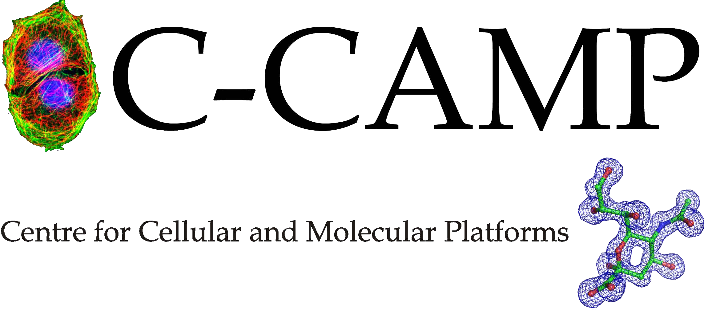 C-CAMP logo